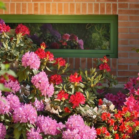 Villa Delle Ortensie Tavagnacco Dış mekan fotoğraf